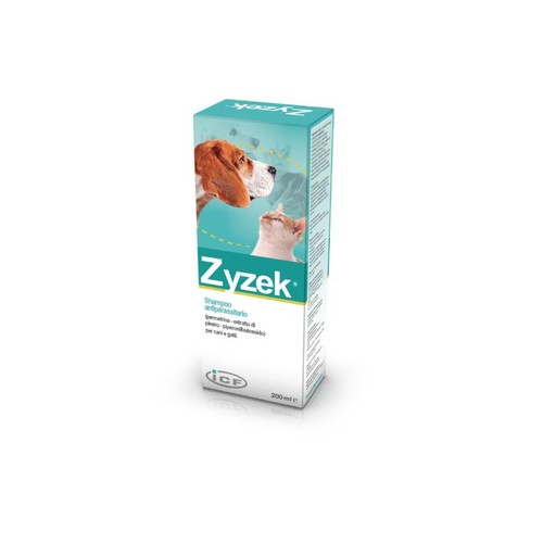 Icf zyzek shampoo