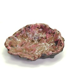 Scultura ciotola conchiglia