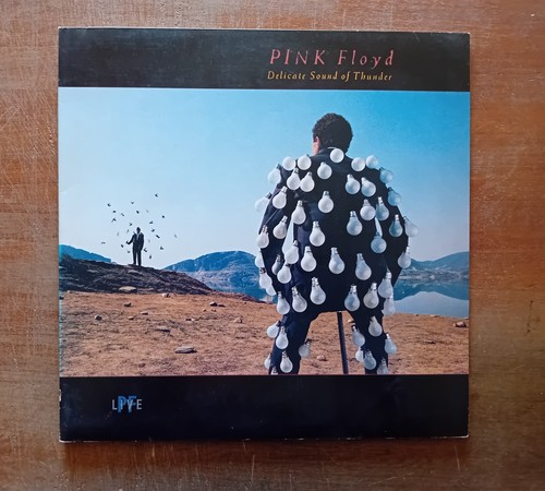 Pink floyd delicate sound - pink,