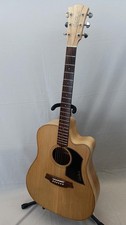 Chitarra elettrica acustica