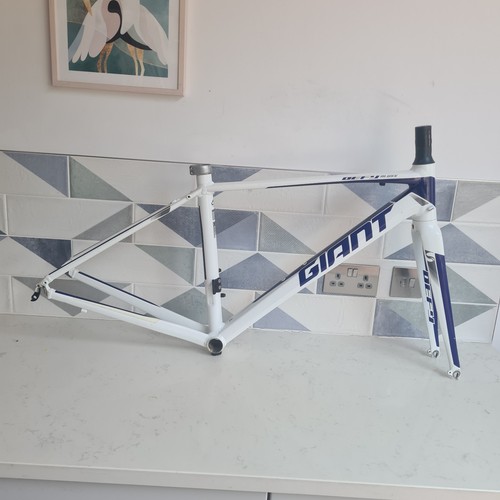 Telaio giant defy alluminio - giant, defy,