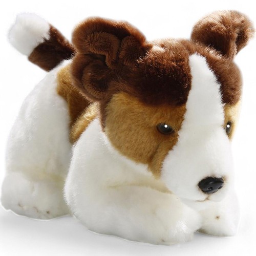 Carl dick jack russel - dick,