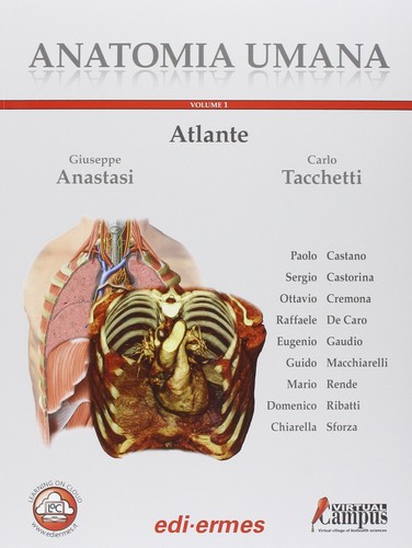 Anatomia umana atlante - umana,