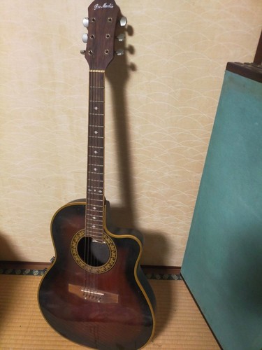 Chitarra acustica elettrica