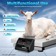 Livestock Scale Kit for Cattle