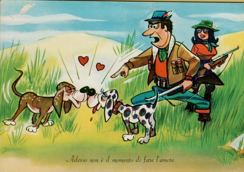 66750t cartolina humor caccia - cartolina,