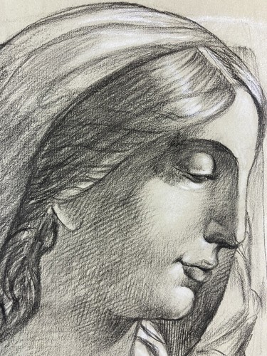 Carboncino ritratto bellezza - carboncino,