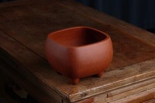 Vaso bonsai fiori in vaso 6,1"