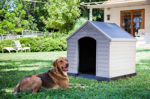 Cuccia per cani - cuccia, in