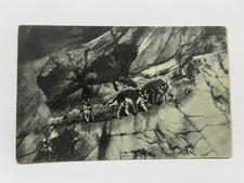 GIARDINO ZOOLOGICO DI ROMA TIGRI DEL BENGALA 1911