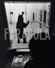 Foto Vintage Animali Giappone