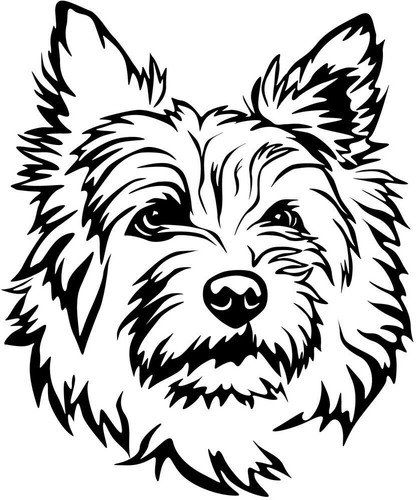 Adesivo cairn terrier - adesivo,