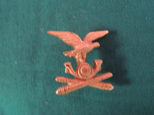 L68 spilla pins pulce - pins,