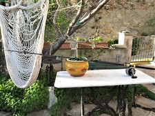 canna da pesca traina + PENN