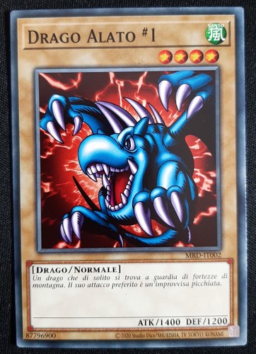 Drago alato comune in - alato, #1