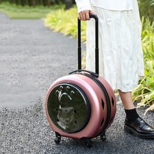 Carrello trasparente per