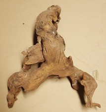 Radice mangrovia per acquario - mangrovia,