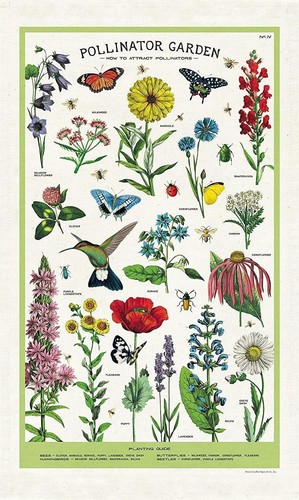 Cavallini pollinator - cavallini, &