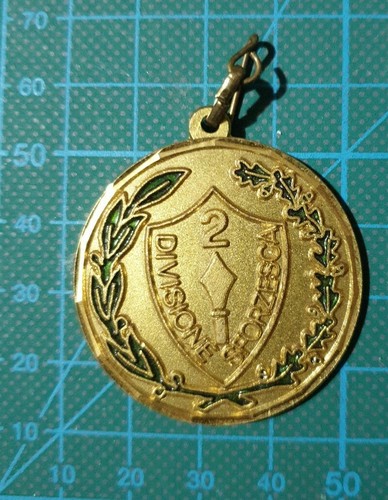 Novara medaglia raduno reduci - medaglia,