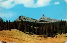 Postcard Colorado - Lizard