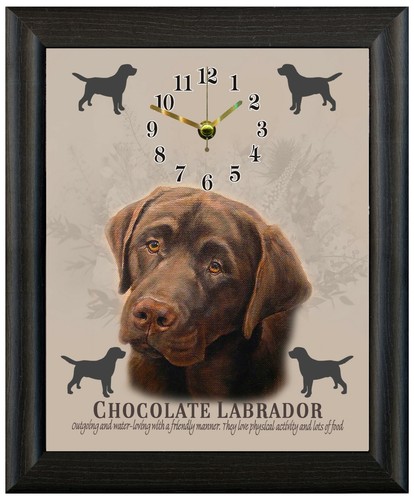 Chocolate labrador gift - labrador,