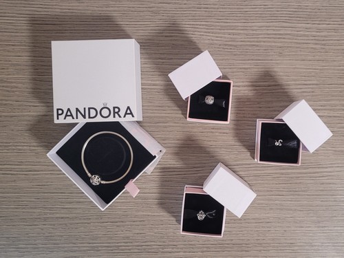 Bracciale pandora moments - bracciale,