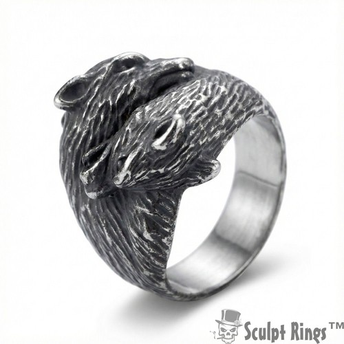 Anello acciaio inossidabile - in,
