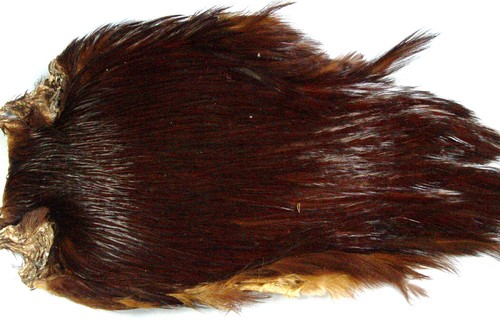 Collo gallo indiano bruno - collo,