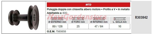 Puleggia doppio albero motore
