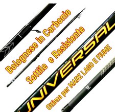 canna da pesca bolognese 7 metri in carbonio scogliera passata fiume mare