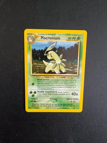 Carte pokémon macronium - carte,