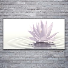 Quadri su Vetro Acrillico