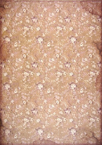 Stamperia carta riso per - stamperia,