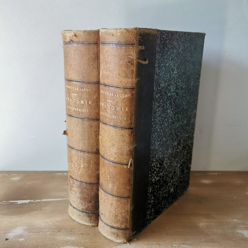 1905 testut jacob anatomie - 1905,