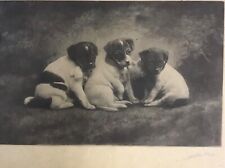 Foto De Marchi Carlo Milano