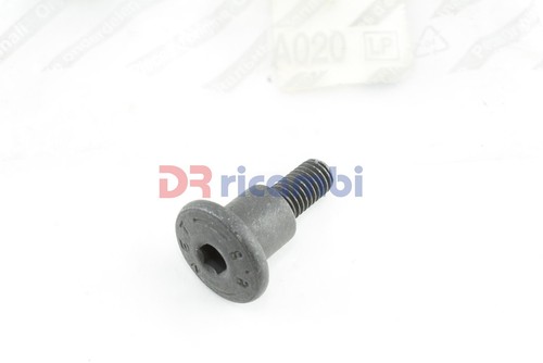 Vite cinghia kit riparazione - vite,