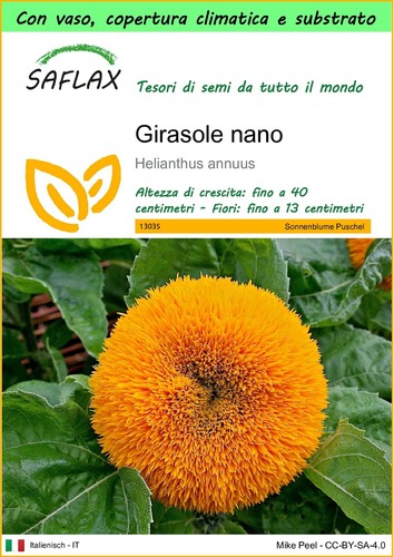 Saflax garden go - saflax,