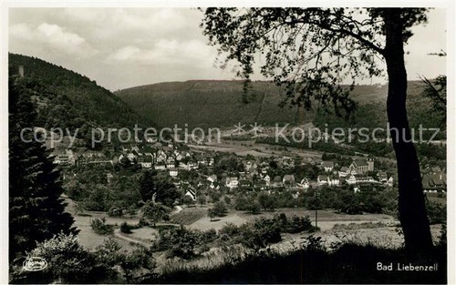 Bad liebenzell panorama - bad,