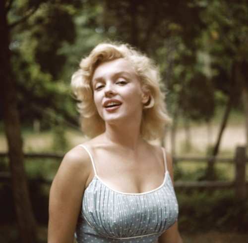 Marilyn monroe 500 - (vol, 9,500