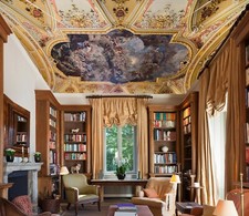 Motivo 3D NA9742 soffitto parete carta murales stampa parete decalcomania deco AJ WALL Fay