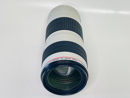 Canon 200 f4 l usm - canon,