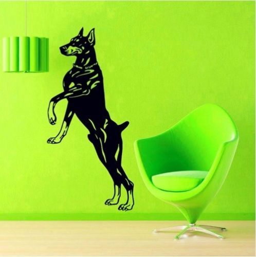 Dobermann cane piedi - cane, in