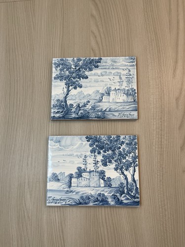 Coppia mattonelle ceramica - mattonelle,