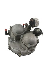 Landi 10r 026088 - landi, polmone