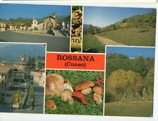 ROSSANA CUNEO FUNGHI BOLETI PORCINI CHIESA PAESAGGI CHAMPIGNONS PILZ MUSHROOMS