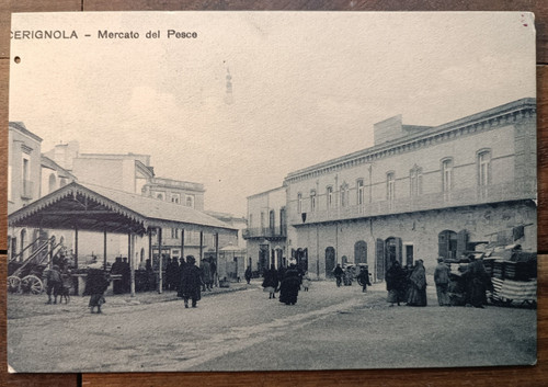 Primi 900 cerignola - 900, al