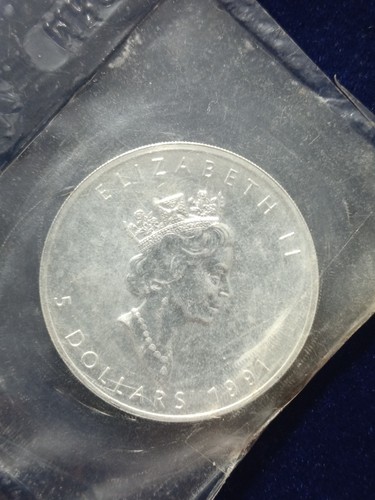 Oncia dollari 1991 proof - 5,