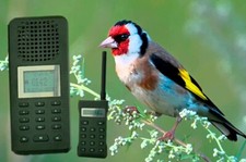 Hunting Bird Caller Bird Call Electronic - Canzoni speciali del cardellino europeo