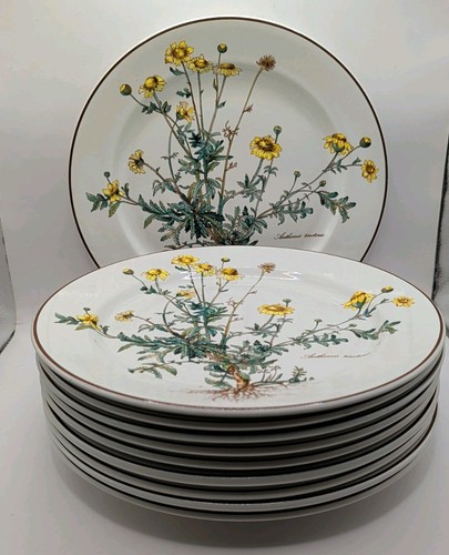 Villeroy boch porcelain - boch,