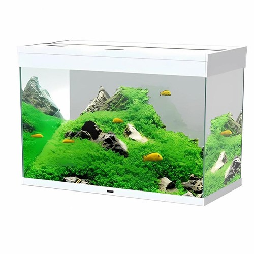 Acquario completo ciano - acquario,